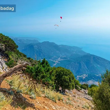 فيلة Badem