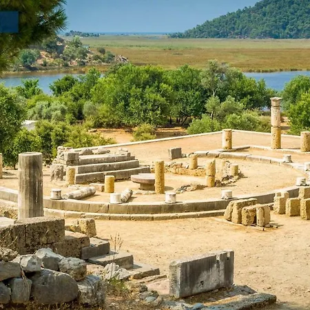 Badem فيلة أولدينيس
